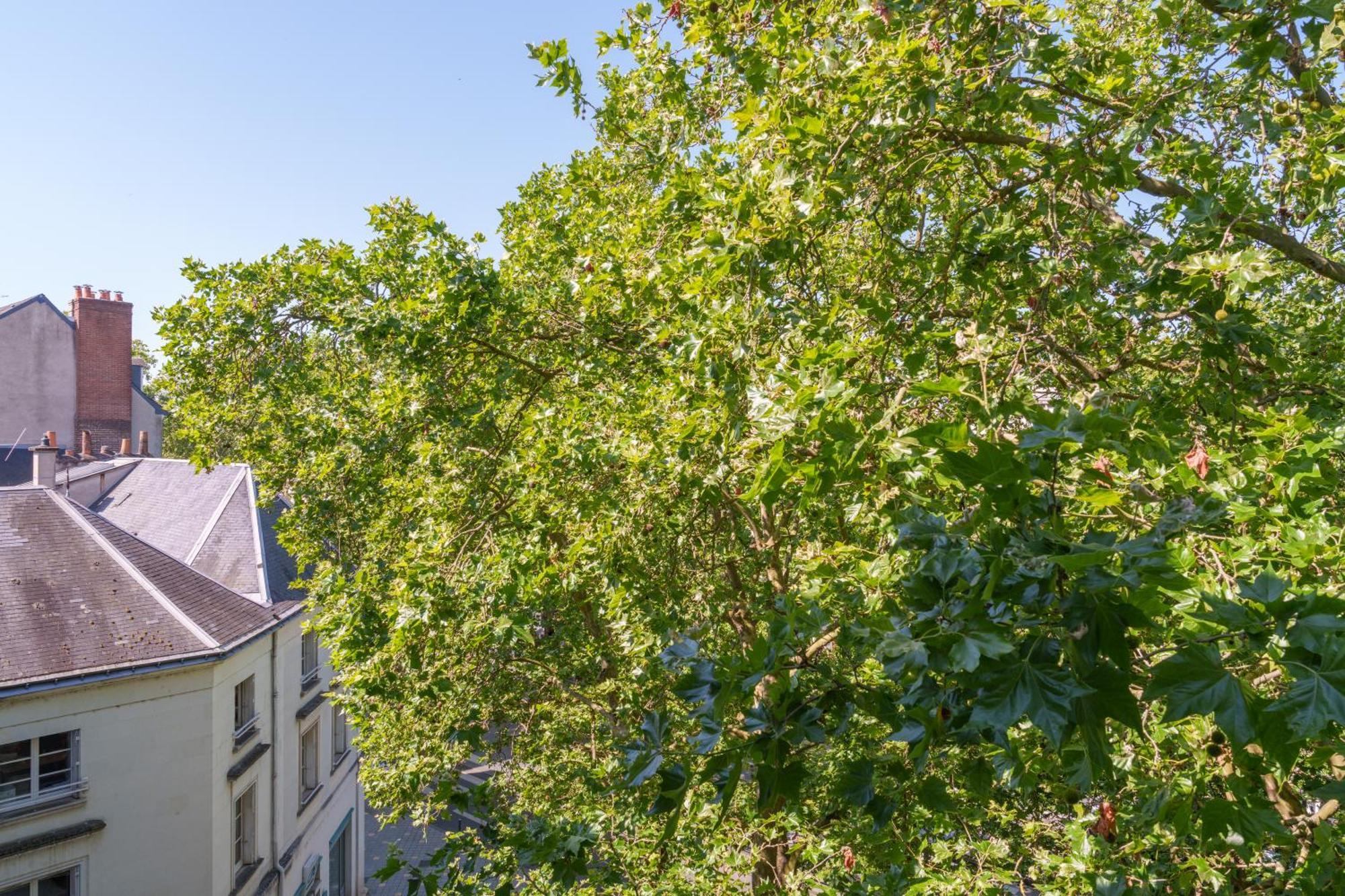Appartement Tours Centre Avec Parking 4 P Εξωτερικό φωτογραφία